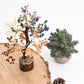 HEALING ZONE 7 Chakra Crystal Tree with Free Protection Bracelet | Natural Healing Crystals for Positive Energy, Spiritual Growth & Protection | Handmade Feng Shui Bonsai Tree for Home Décor & Gifting - HEALING ZONE